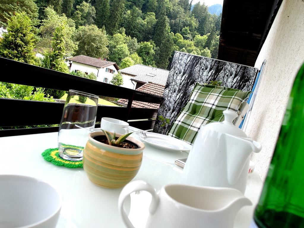 Hofwiese Hohenschwangau Luaran gambar